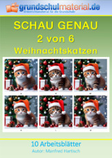 Weihnachtskatzen.pdf